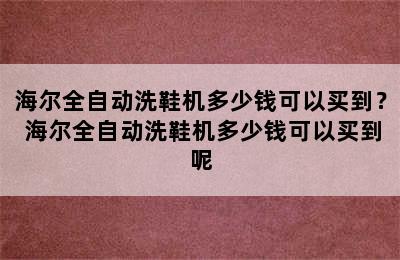 海尔全自动洗鞋机多少钱可以买到？ 海尔全自动洗鞋机多少钱可以买到呢